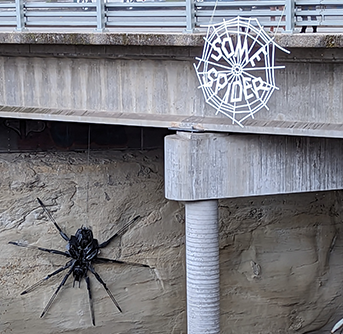 Some Spiderweb above the Skytrain